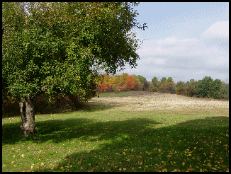 woodhaven